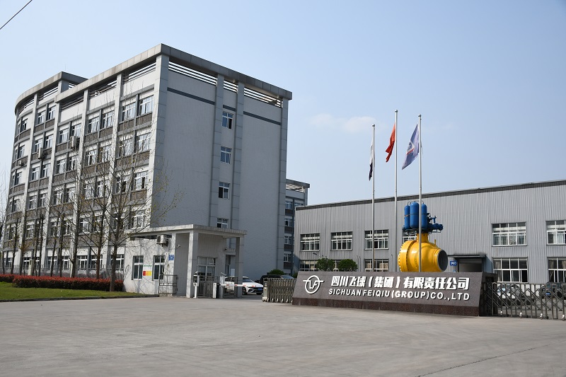 成立股份公司