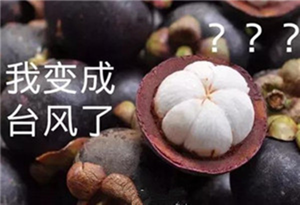 “山竹”還未走遠(yuǎn)，但貝朗全自動(dòng)彎線機(jī)已正常上班啦！